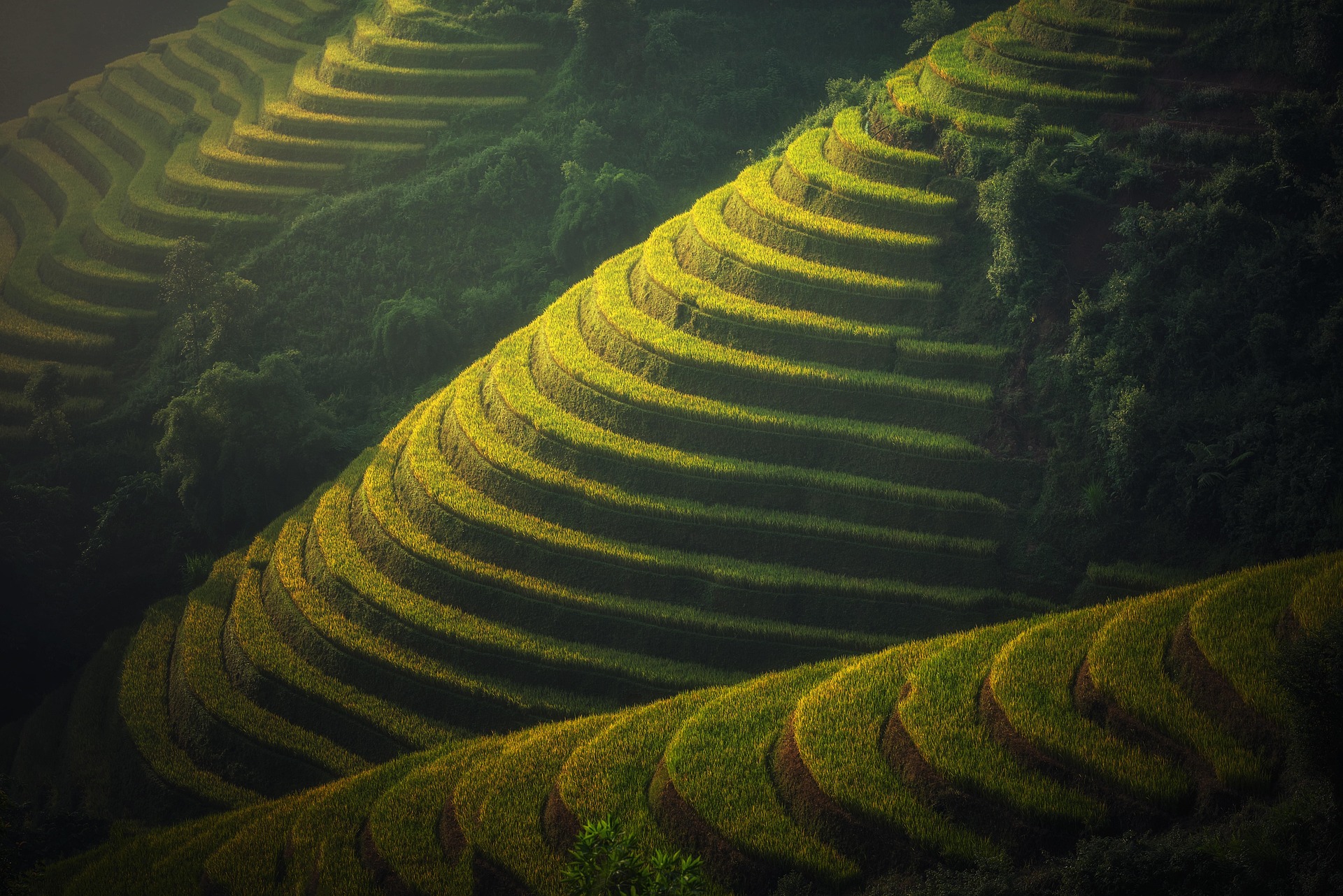 Aerial view of agricultural farmland